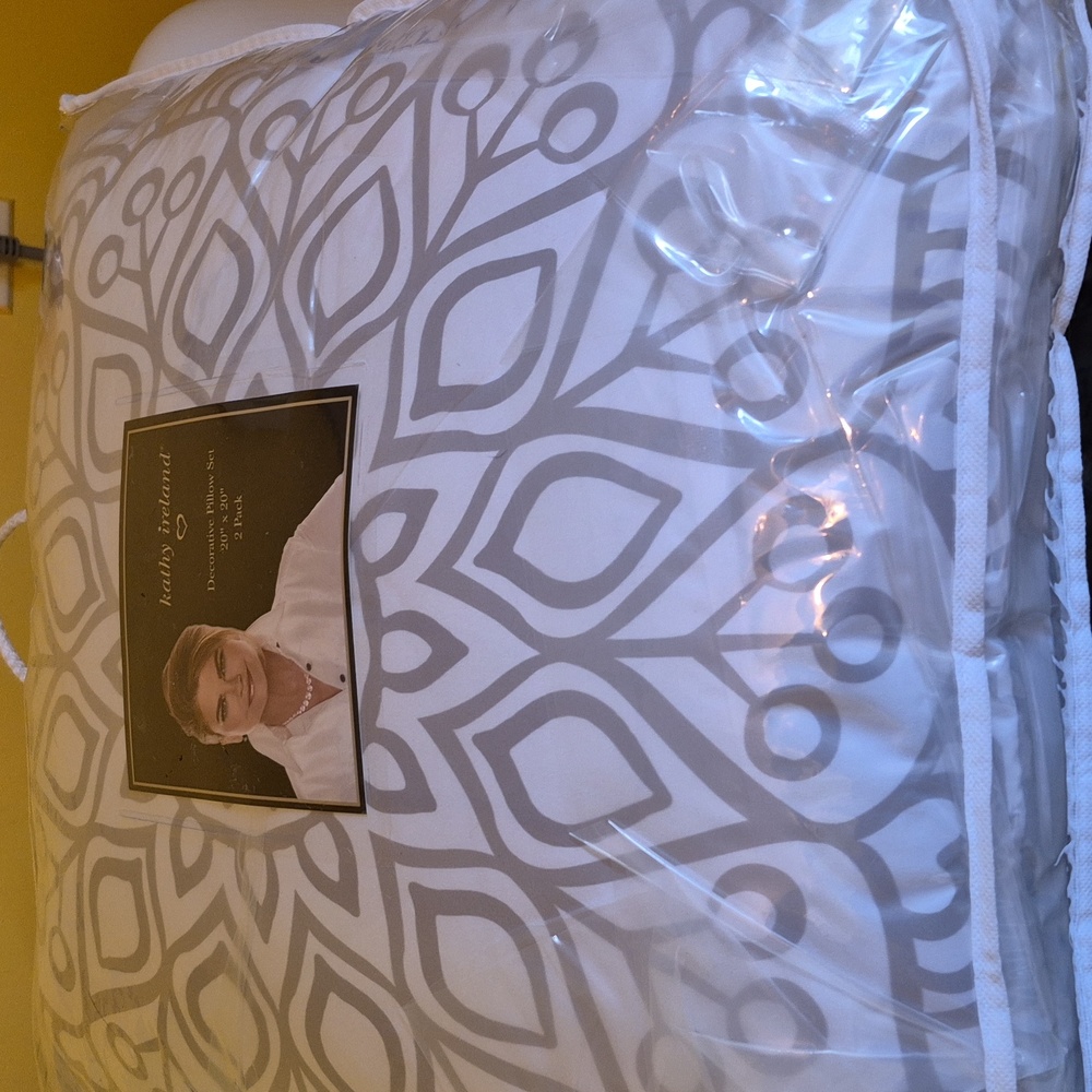 Kathy ireland decorative pillow set of two, did I work